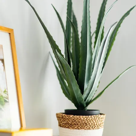 Smartapartment Spiegelsal Trnava, 200m Center Apartment